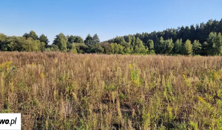 Działka budowlana Kleszczewo