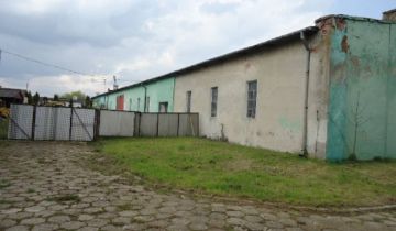 Hala/magazyn Ninków, Ninków. Zdjęcie 7