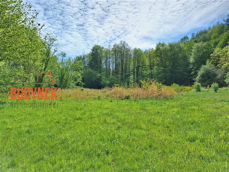 Działka rolna Paproty. Zdjęcie 6