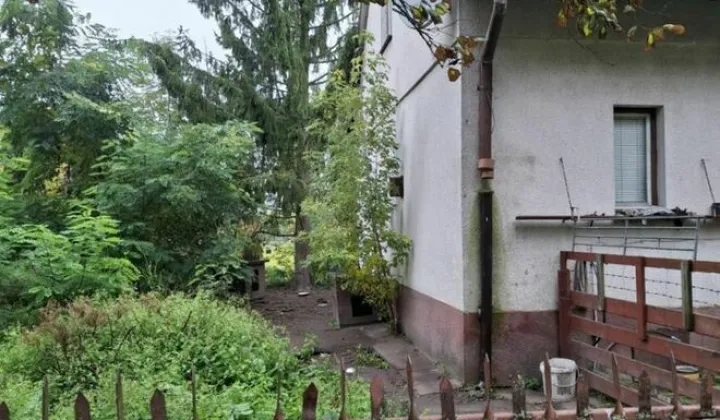 dom wolnostojący, 4 pokoje Pałuki