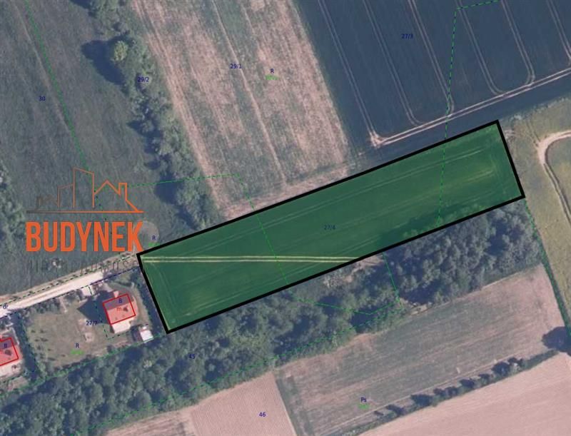 Działka rolna Kopnica. Zdjęcie 11