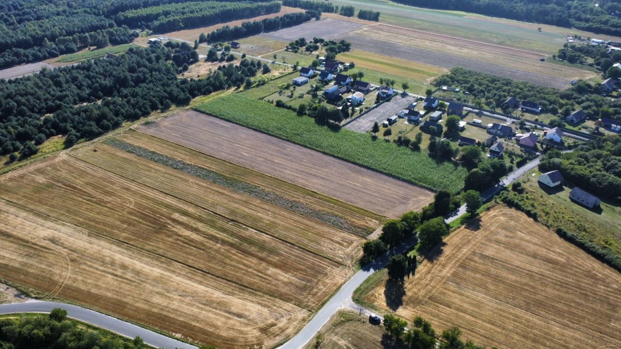 Działka rolna Mełchów. Zdjęcie 5