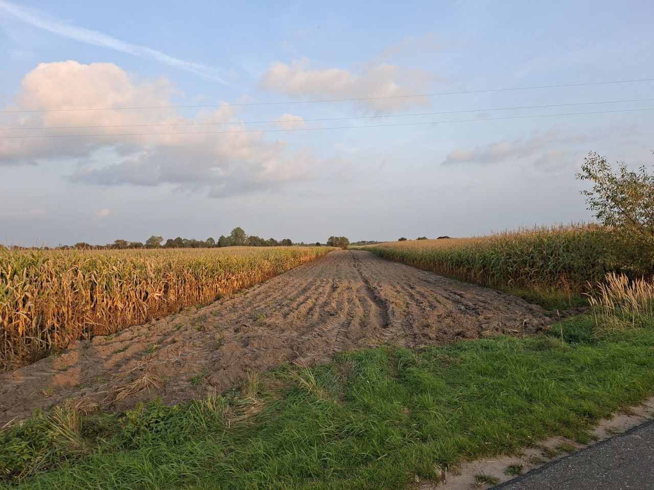 Działka rolna Brudzew. Zdjęcie 1