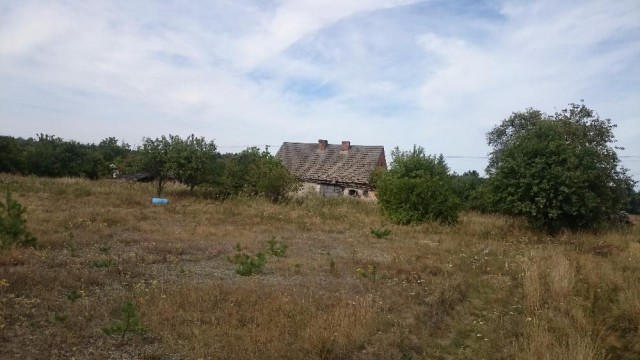 Działka rolno-budowlana Stary Jasiniec. Zdjęcie 1