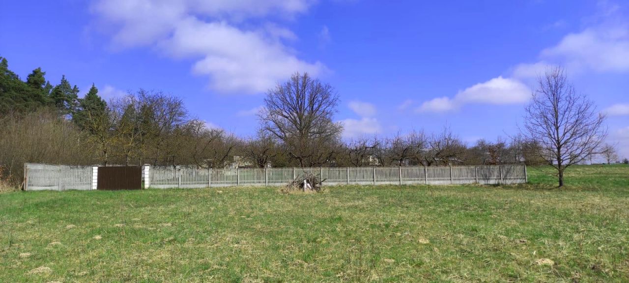 Działka inwestycyjna Suków Borki. Zdjęcie 10