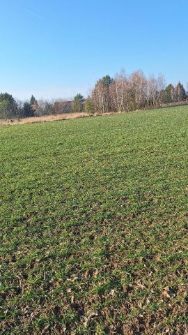 Działka rolno-budowlana Brzezia Łąka. Zdjęcie 1