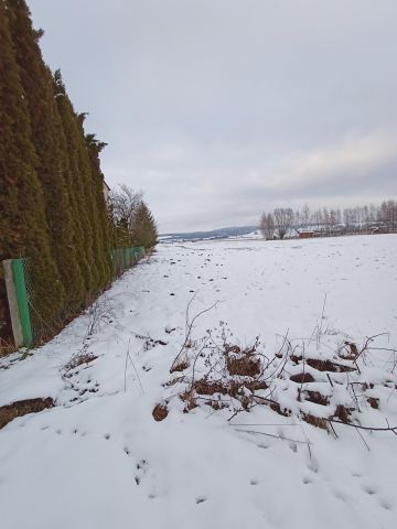 Działka rolno-budowlana Pasturka Krzywda. Zdjęcie 1