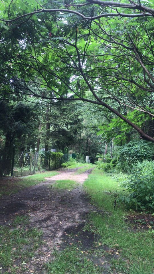 Działka rekreacyjna Skrzeszew, ul. Wczasowa. Zdjęcie 18