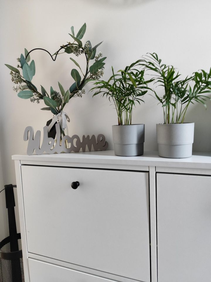 bliźniak, 5 pokoi Czapury, Poranek. Zdjęcie 4