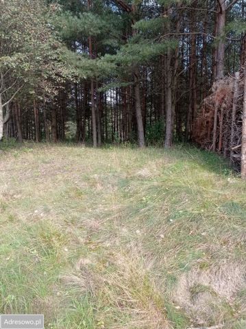 Działka budowlana Lamkowo. Zdjęcie 1