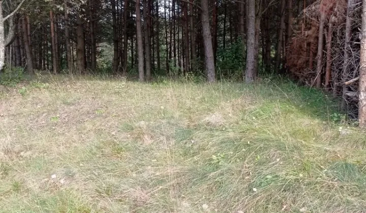 Działka budowlana Lamkowo