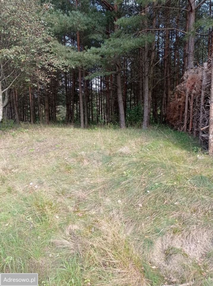 Działka budowlana Lamkowo. Zdjęcie 1