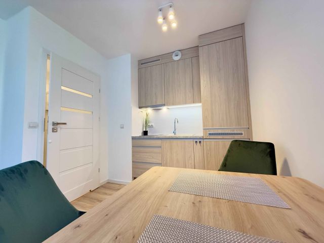 Mieszkanie 1-pokojowe Wrocław Szczepin, wyspa Kępa Mieszczańska. Zdjęcie 1