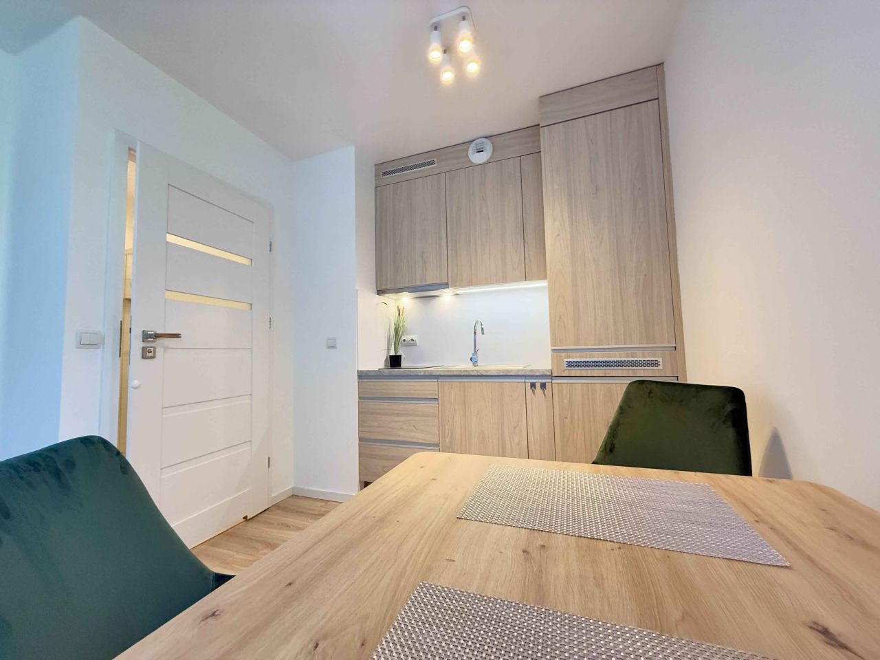 Mieszkanie 1-pokojowe Wrocław Szczepin, wyspa Kępa Mieszczańska. Zdjęcie 1