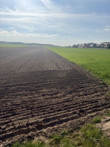 Działka budowlana Osiek. Zdjęcie 1