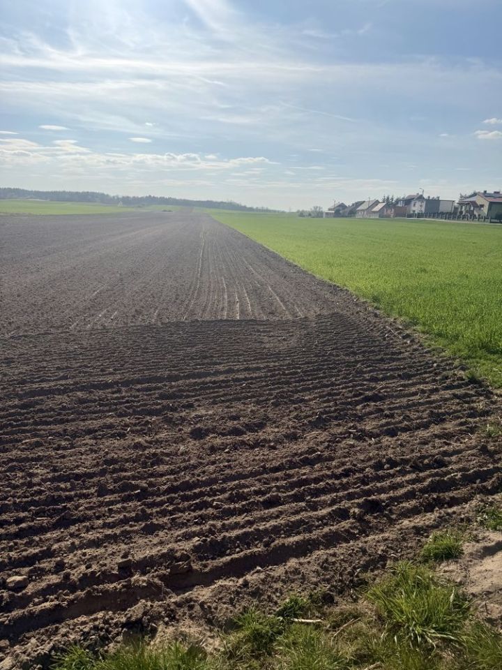 Działka budowlana Osiek. Zdjęcie 1