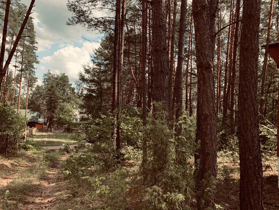 Działka rekreacyjna Serpelice. Zdjęcie 3