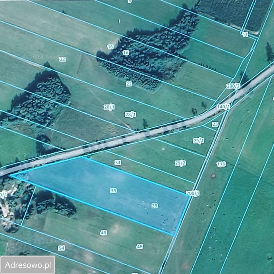 Działka rolna Blenda. Zdjęcie 3