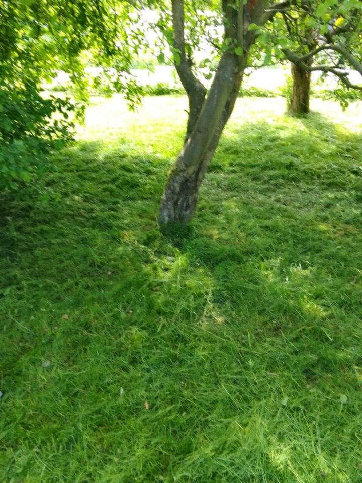 Działka rod Darłowo Darłówko. Zdjęcie 2