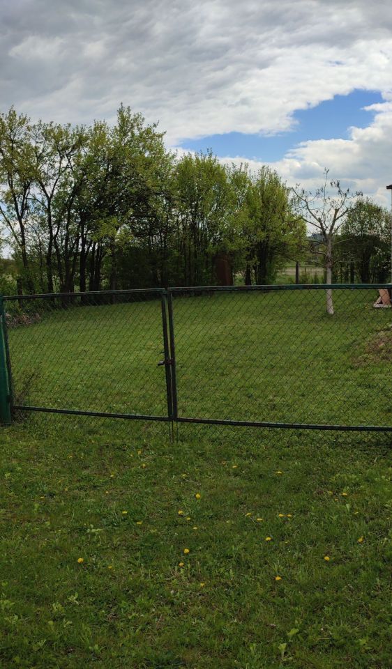 Działka rolno-budowlana Gruszczyn. Zdjęcie 2