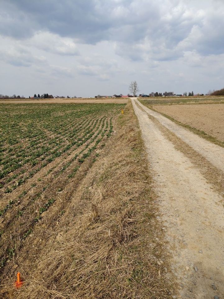 Działka budowlana Zastawie-Kolonia. Zdjęcie 6