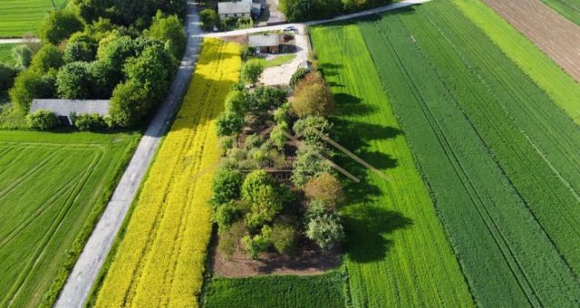 Działka siedliskowa Kozice Górne. Zdjęcie 7