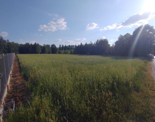 Działka rolna Niesułków-Kolonia. Zdjęcie 1