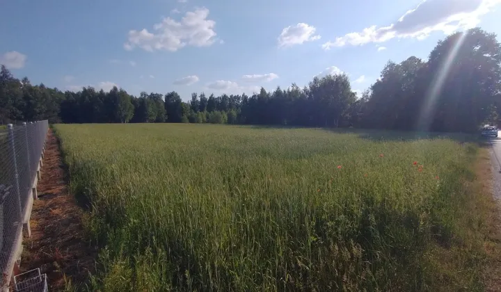Działka rolna Niesułków-Kolonia