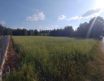 Działka rolna Niesułków-Kolonia