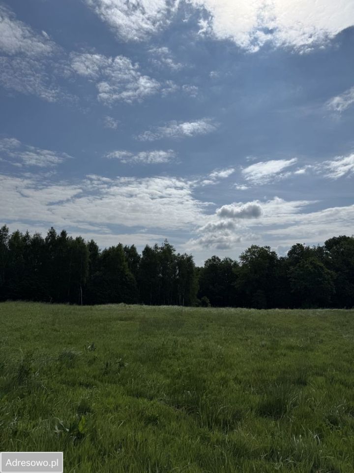 Działka rolno-budowlana Głogoczów. Zdjęcie 3