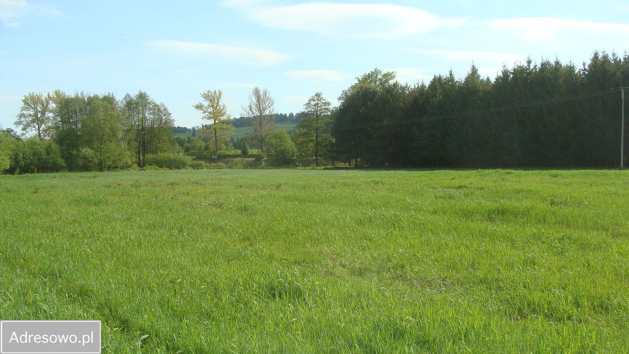 Działka rolna Domaszków, ul. Kolejowa. Zdjęcie 5
