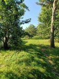 Działka budowlana Brzeźce, ul. Główna. Zdjęcie 4