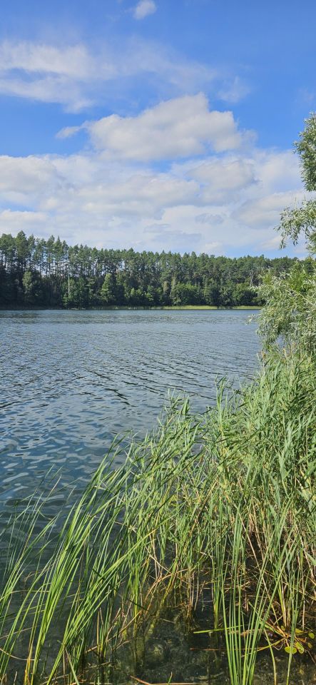 Działka rekreacyjna Dłusko. Zdjęcie 2