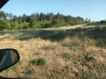 Działka rolna Toporzysko. Zdjęcie 1