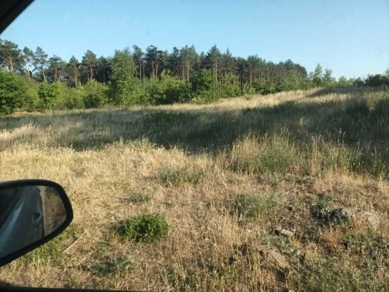 Działka rolna Toporzysko. Zdjęcie 2