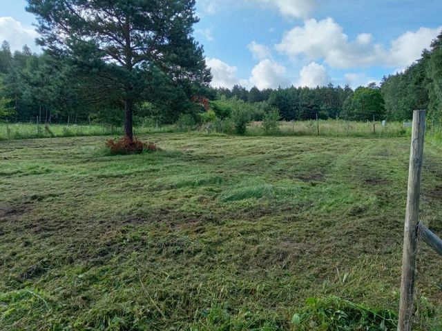Działka budowlana Borków. Zdjęcie 1