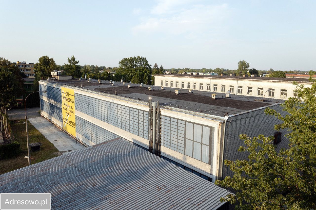 Hala/magazyn Błonie. Zdjęcie 6
