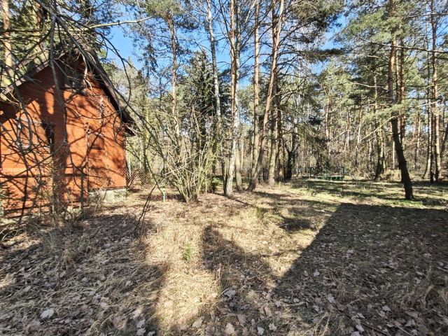 Działka budowlana Nowe Załubice, ul. Szumiących Traw. Zdjęcie 4