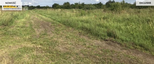 Działka budowlana Mierzyn. Zdjęcie 4