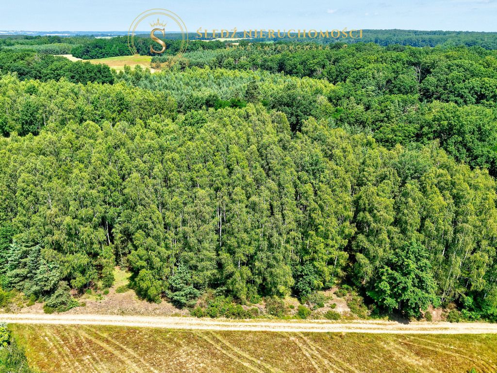 Działka budowlana Proszkowa. Zdjęcie 12