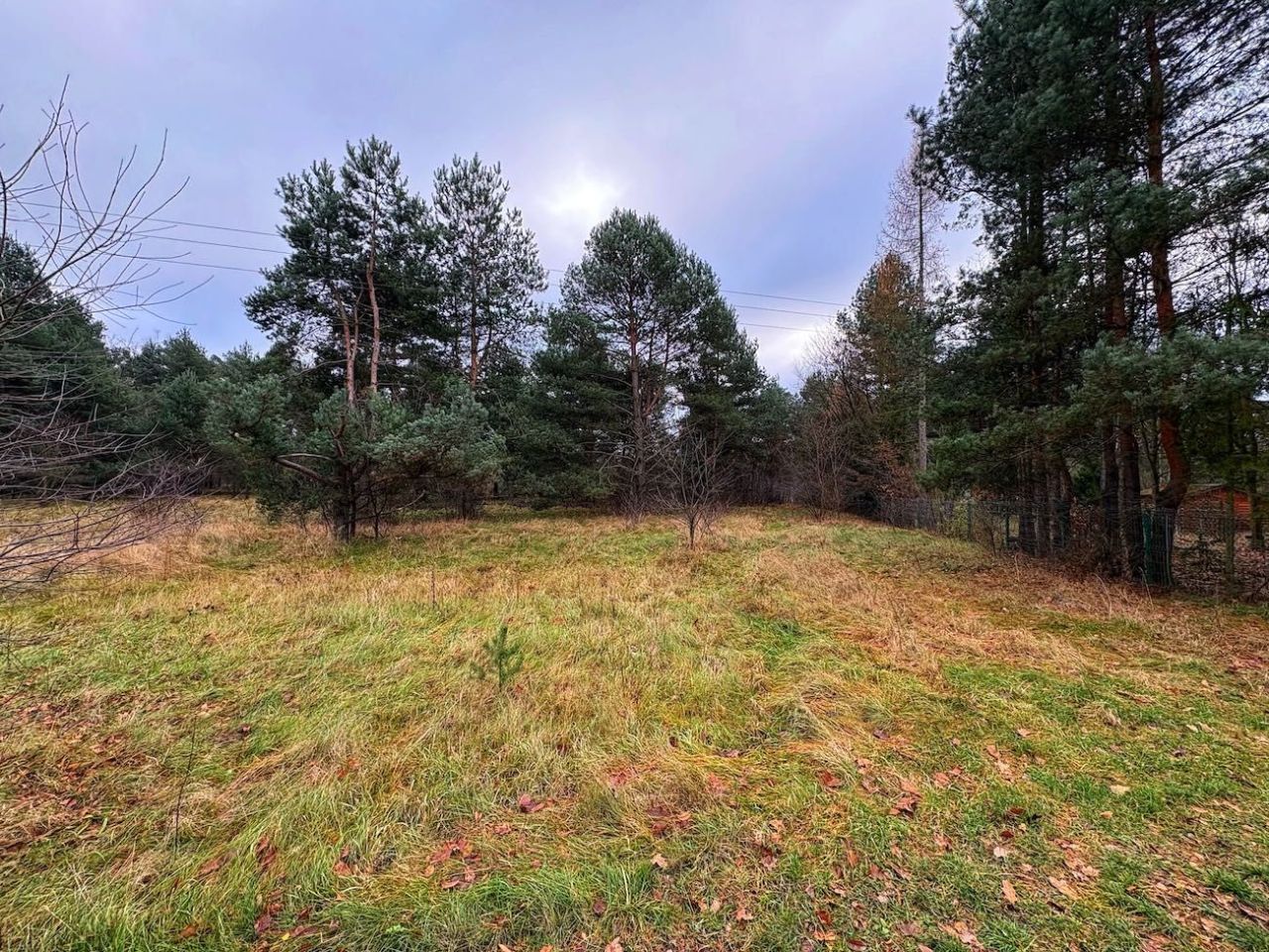 Działka Ruda. Zdjęcie 5