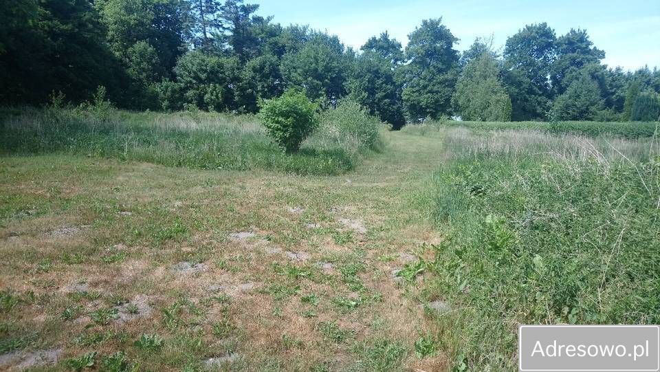 Działka budowlana Gostyń. Zdjęcie 6