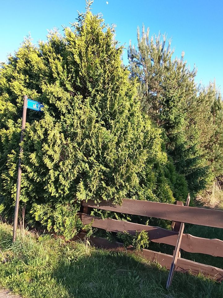 Działka budowlana Bogdaszowice. Zdjęcie 5