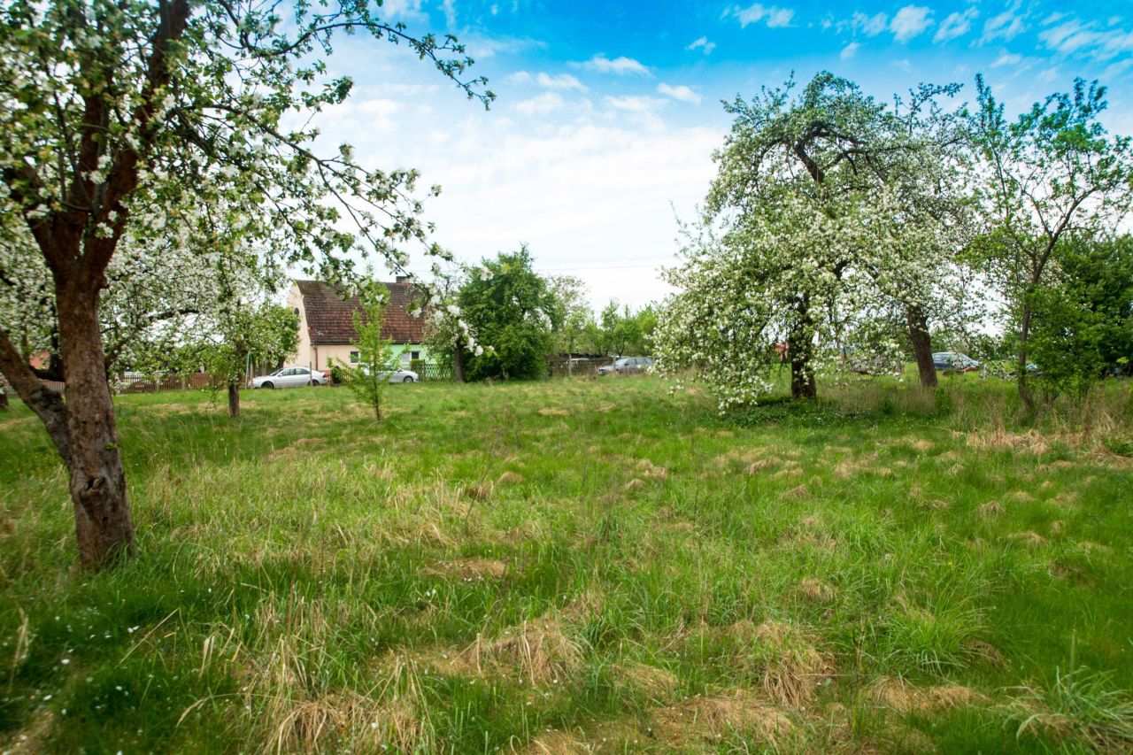 Działka budowlana Zawisze. Zdjęcie 3