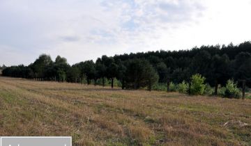 Działka budowlana Huta Dłutowska