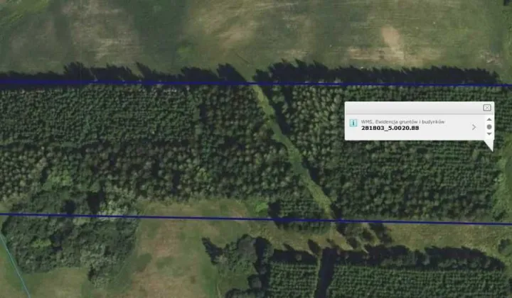 Działka leśna Nasuty