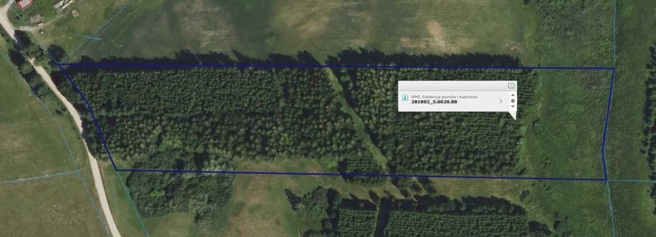 Działka leśna Nasuty