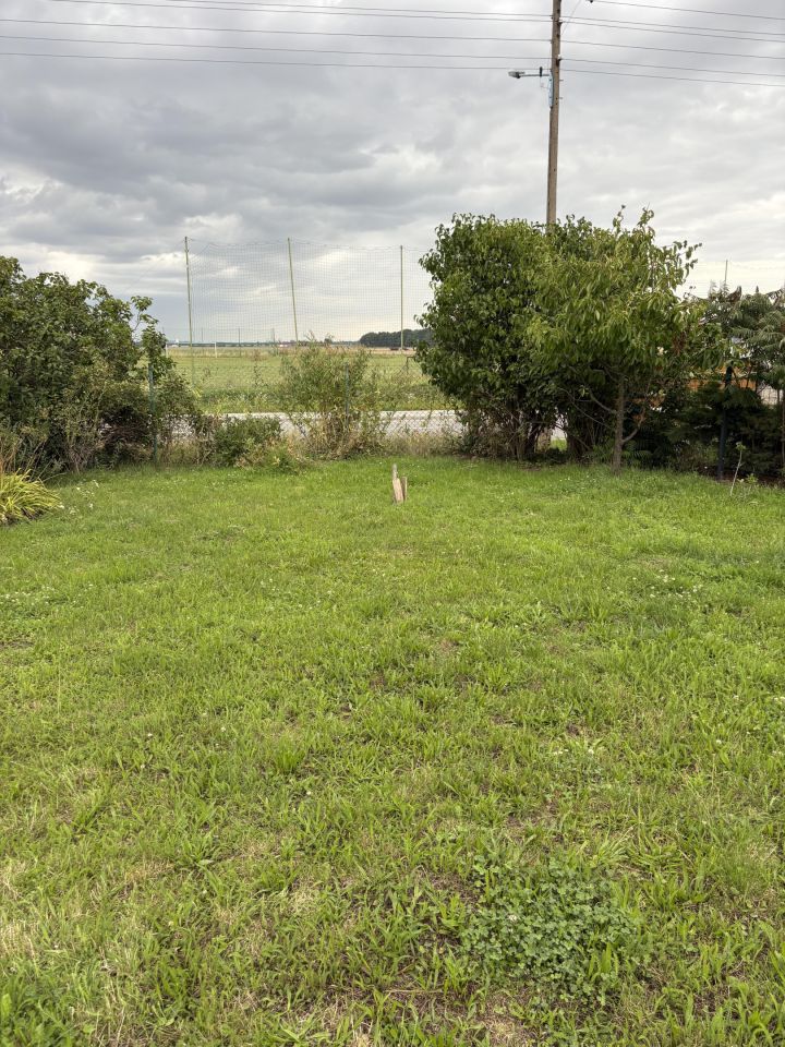 Działka rolno-budowlana Pichorowice, Pichorowice 74. Zdjęcie 7