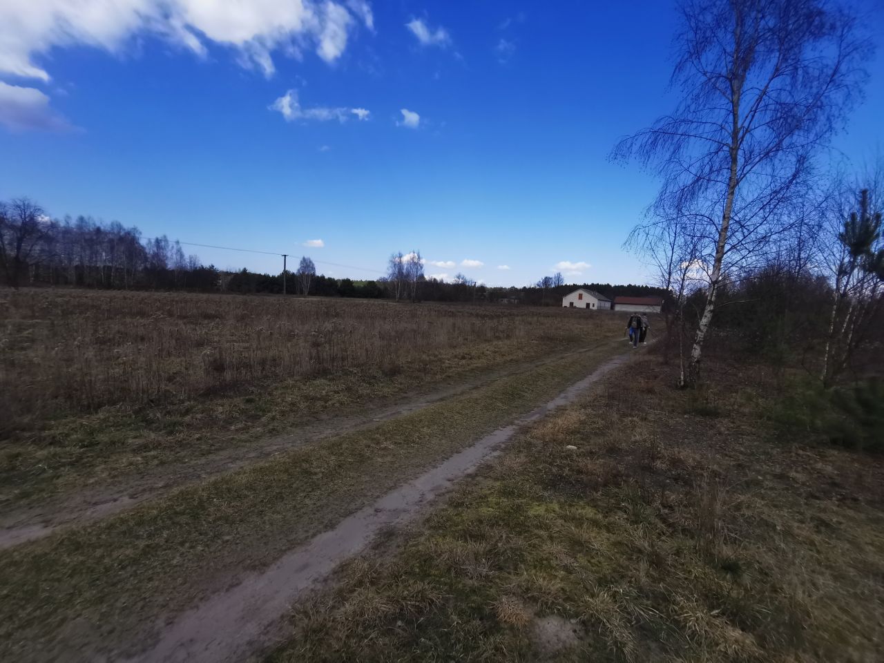 Działka rolno-budowlana Michałów, ul. Azaliowa. Zdjęcie 3