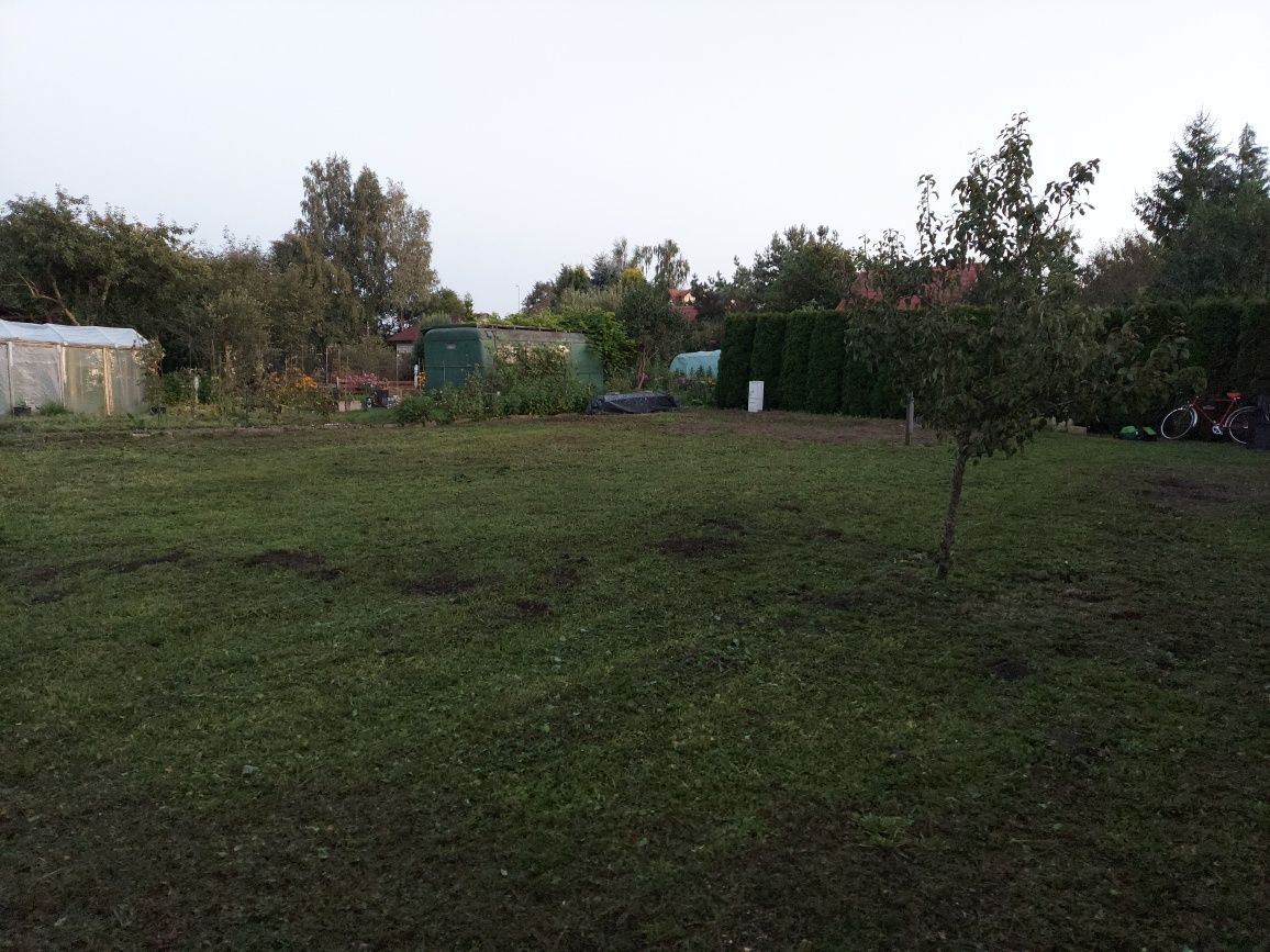 Działka rod Biskupiec. Zdjęcie 2